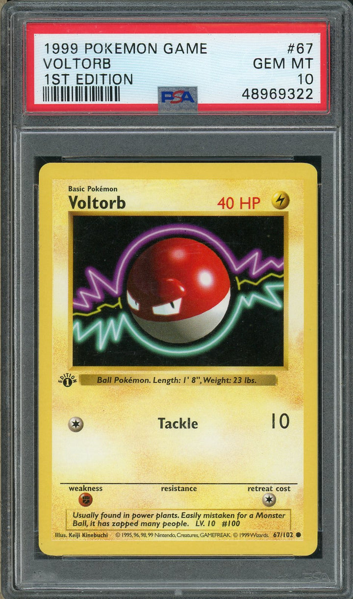 PSA (Gem MT 10) Voltorb #67 - 1st Edition Shadowless- Pokemon Game (#48969322)