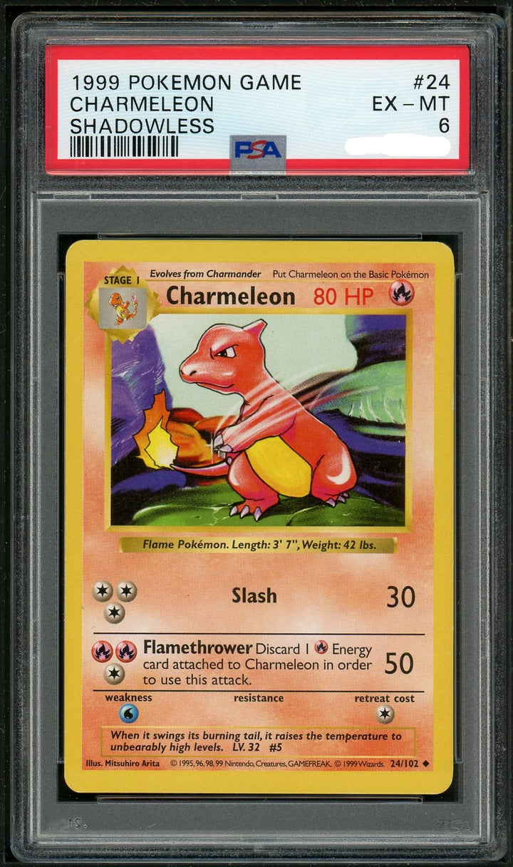 PSA (EX-MT 6) Charmeleon (Shadowless) #24 - Pokemon Game
