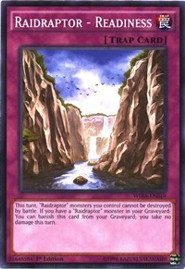 Raidraptor