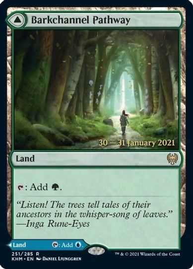 Barkchannel Pathway (251) [Prerelease Cards] – Pokemon Plug