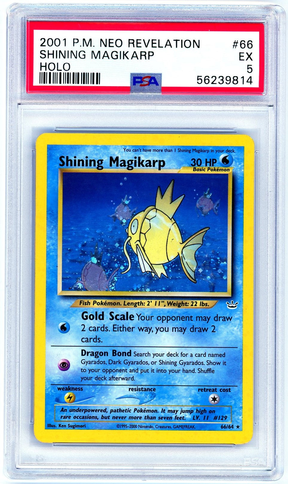 PSA (EX 5) Shining Magikarp #66 - Pokemon Neo Revelation (56239814) Pokemon Plug PSA (EX 5) Shining Magikarp #66 - Pokemon Neo Revelation (56239814) Pokemon Plug