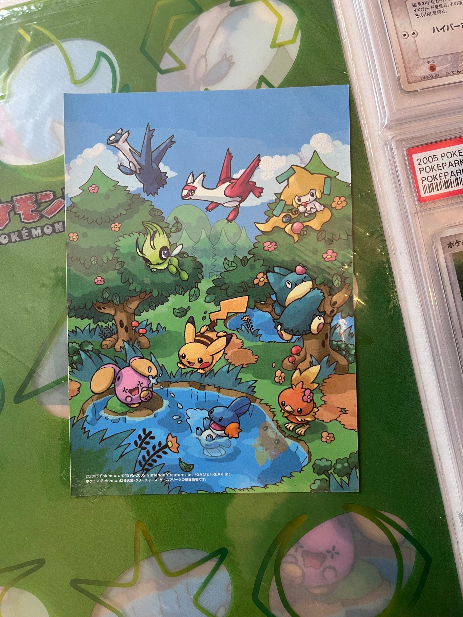 PSA 7-10 PokéPark Premium File - Forest Sheet - Complete 9 Card Sequentially Graded Set w/ Original Binder & Sticker (LOW POP)