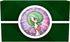 Pokémon TCG: Gardevoir ex Battle Deck