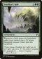 Zendikar's Roil (209) [Magic Origins]