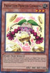 Prediction Princess Coinorma (DRL2-EN030) [Dragons of Legend 2]