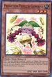 Prediction Princess Coinorma (DRL2-EN030) [Dragons of Legend 2]