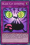 Black Cat-astrophe (DRL2-EN037) [Dragons of Legend 2]