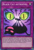 Black Cat-astrophe (DRL2-EN037) [Dragons of Legend 2]