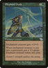 Elephant Guide [Judgment]