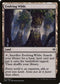 Evolving Wilds (31) [Duel Decks: Zendikar vs. Eldrazi]