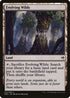 Evolving Wilds (31) [Duel Decks: Zendikar vs. Eldrazi]