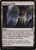 Evolving Wilds (31) [Duel Decks: Zendikar vs. Eldrazi]