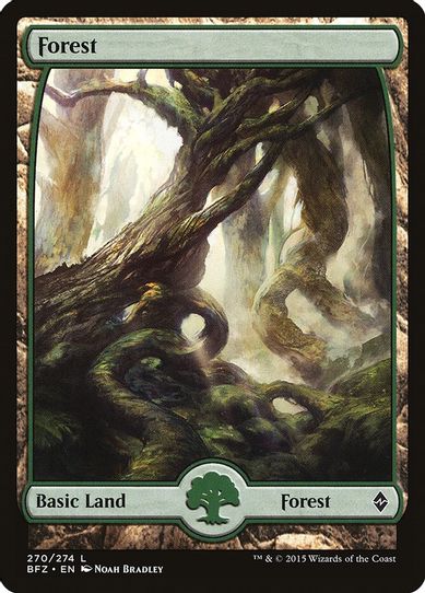 Forest - Full Art (270) [Battle for Zendikar]
