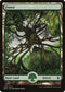 Forest - Full Art (273) [Battle for Zendikar]
