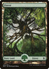 Forest - Full Art (273) [Battle for Zendikar]