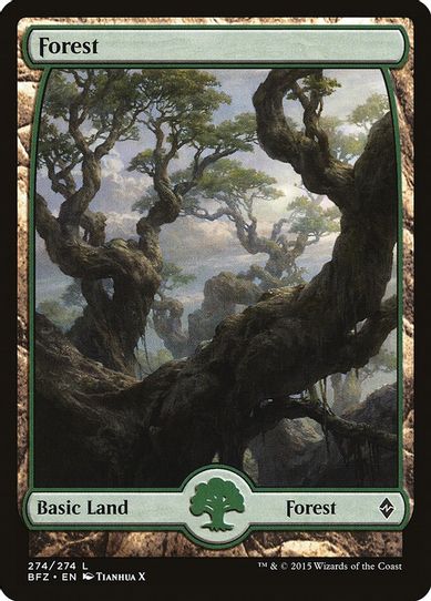 Forest - Full Art (274) [Battle for Zendikar]