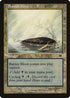 Barren Moor (312) [Onslaught]