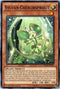 Sylvan Cherubsprout (MP15-EN013) [2015 Mega-Tins Mega Pack]