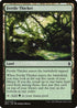 Fertile Thicket (237) [Battle for Zendikar]