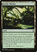 Fertile Thicket (237) [Battle for Zendikar]