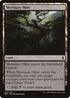 Mortuary Mire (240) [Battle for Zendikar]
