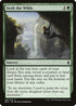 Seek the Wilds (189) [Battle for Zendikar]