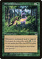 Elvish Guidance (255) [Onslaught]