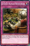 D/D/D Human Resources (DOCS-EN097) [Dimension of Chaos]