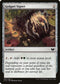 Golgari Signet (255) [Commander 2015]