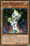 Silent Magician LV (C) (YGLD-ENC05) [King of Games: Yugi's Legendary Decks]