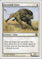 Savannah Lions [8th Edition]