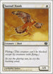 Suntail Hawk [8th Edition]