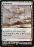 Fetid Heath (31) [Zendikar Expeditions]