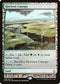 Horizon Canopy (40) [Zendikar Expeditions]