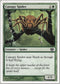 Canopy Spider [8th Edition]