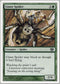 Giant Spider [8th Edition]