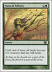 Natural Affinity [8th Edition]
