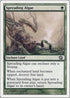 Spreading Algae (281) [8th Edition]