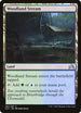 Woodland Stream (282) [Shadows over Innistrad]