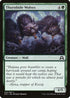 Thornhide Wolves (232) [Shadows over Innistrad]