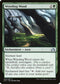 Weirding Wood (240) [Shadows over Innistrad]
