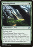 Weirding Wood (240) [Shadows over Innistrad]