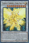 Stardust Chronicle Spark Dragon (YF09-EN001) [Yu-Gi-Oh! 5D's Manga Promotional Cards]