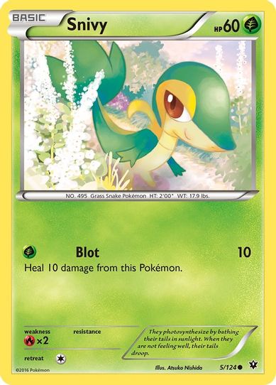 Snivy (5/124) [XY : Fates Collide]