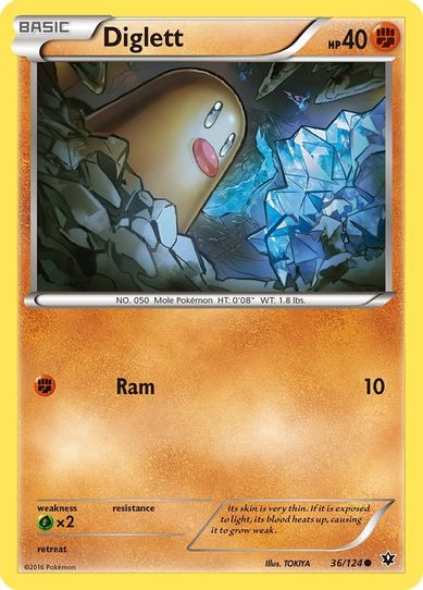Diglett (36/124) [XY : Fates Collide]