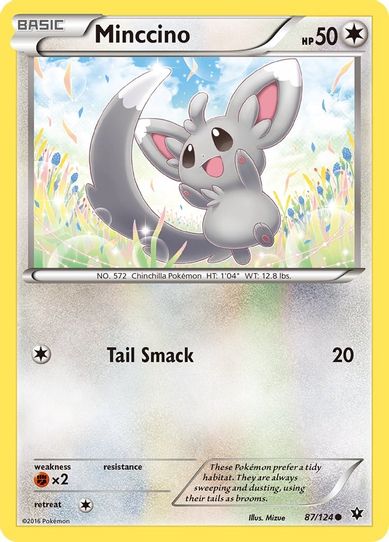 Minccino (87/124) [XY : Fates Collide]