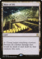 Maze of Ith (241) [Eternal Masters]