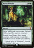 Natural Order (177) [Eternal Masters]