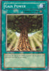 Gaia Power (SRL-096) [Spell Ruler]