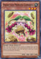 Prediction Princess Coinorma (OP02-EN020) [OTS Tournament Pack 2]
